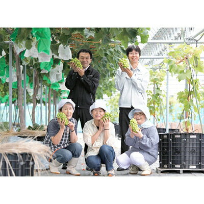 宮城県山元町の画像3