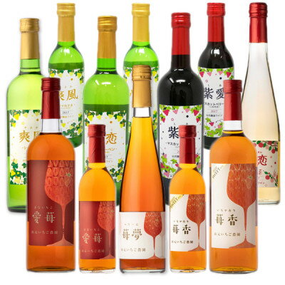 【ふるさと納税】【山元いちご農園】 ワイン詰め合...の商品画像