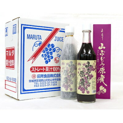 【ふるさと納税】「山ぶどう原液」詰合せセット(600ml×6本)【配送不可地域：離島】【1241166】