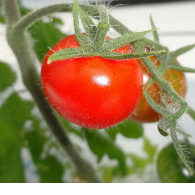 宮城県山元町の画像2