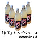 13位! 口コミ数「0件」評価「0」紅玉りんごジュース　1000ml×6本【配送不可地域：離島】【1418485】