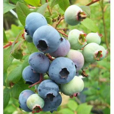 宮城県山元町の画像2