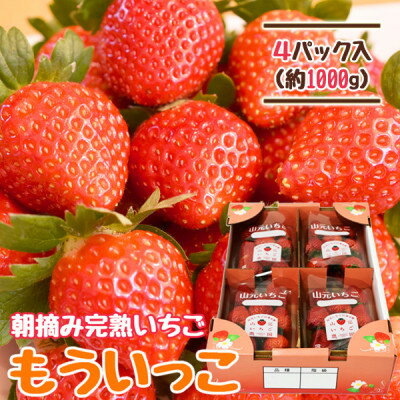【ふるさと納税】山元いちご農園 朝採り完熟いちご もういっこ 1.0kg(250g×4パック)【配送不可地域：離島・沖縄県・九州】【1475586】のサムネイル