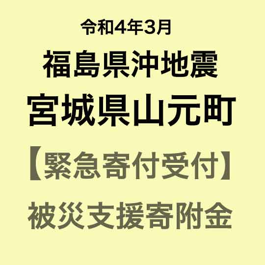 【ふるさと納税】【令和4年3月福島県沖地震被害寄付受付】宮城県山元町災害応援寄附金(返礼品はありません)