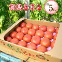 24位! 口コミ数「0件」評価「0」No.003 松島とまと ／ トマト 野菜 温室栽培 白米 送料無料 宮城県