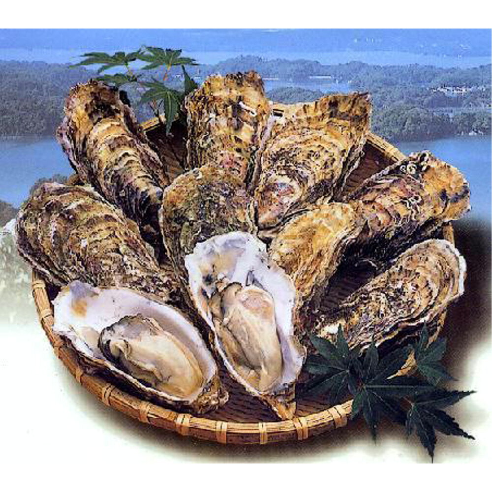 【ふるさと納税】 殻付き牡蠣20個＋オイスターナイフ ／ 一年もの 中粒から大粒 引き締まった身 潮の香り 独自の甘み 数量限定 冬季配送 冷蔵配送 発送前連絡 専用器具付き 手むき体験 3人向け 家飲み ホームパーティー 冬の味覚 No.181 f044016-matsushima-10000151 宮城県松島町 サンプル画像3