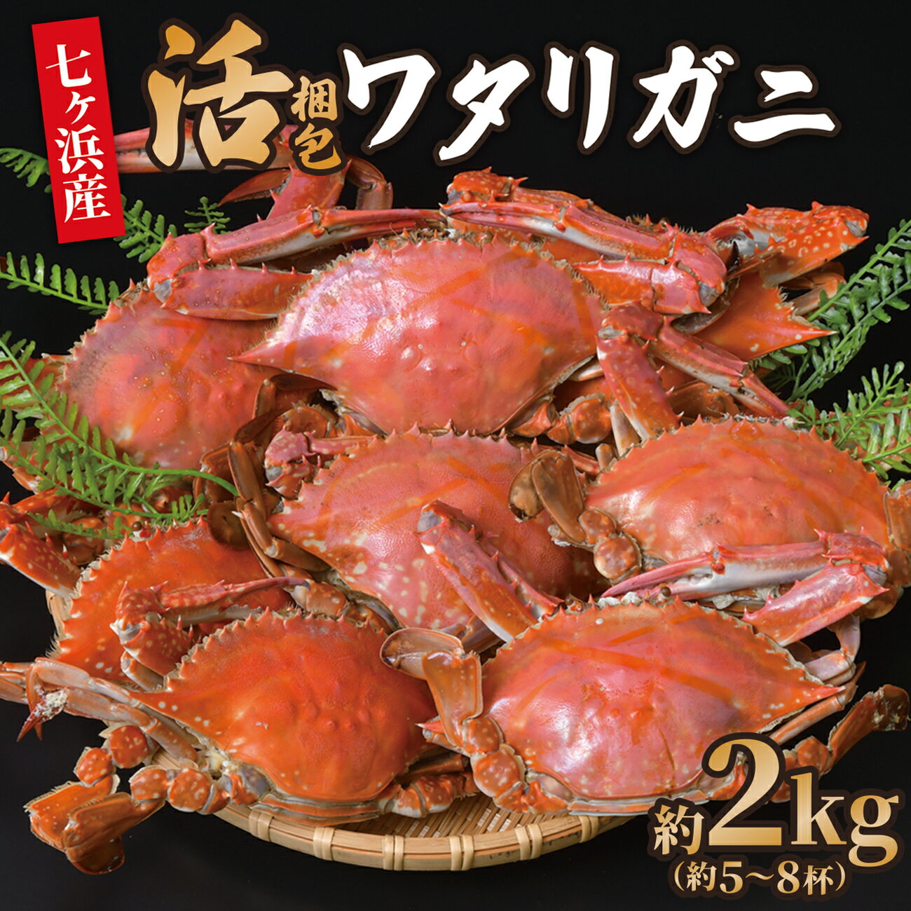 【ふるさと納税】 先行予約 (6月~7月分発送受付) 活 梱包 ワタリガニ 2kg (約5〜8杯) 七ヶ浜産 かに カニ 蟹 渡り蟹 ガザミ 旬 新鮮 パスタ ボイル 海鮮 ケジャン 味噌 蟹肉 鍋 おつまみ 日本酒 グルメ 高級 国産 ごはん 宮城県 七ヶ浜町 |jf-wg02-R7