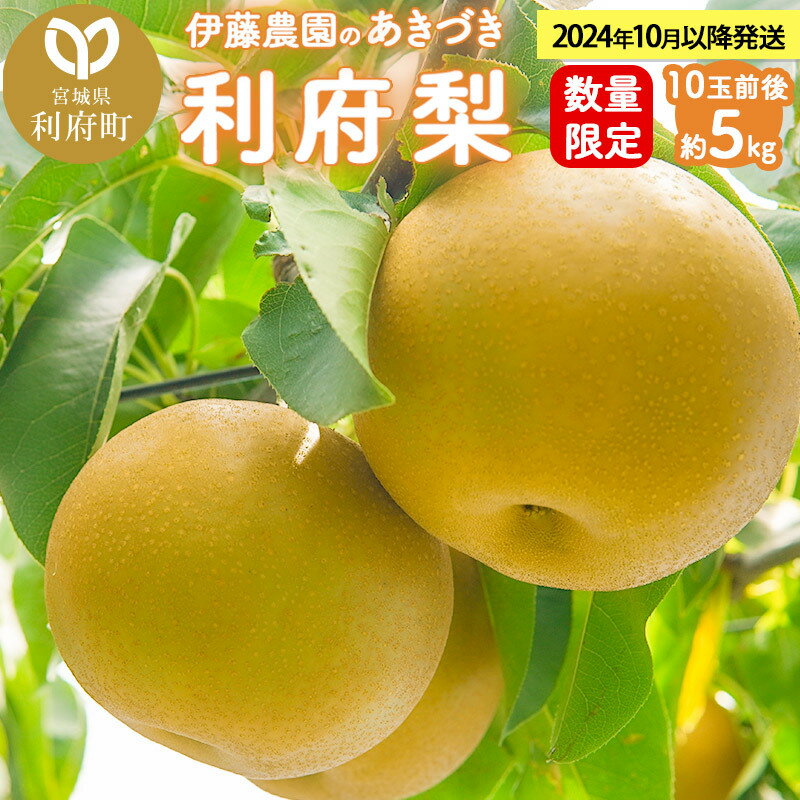 【ふるさと納税】数量限定 利府梨（あきづき）5kg　10玉前後のサムネイル