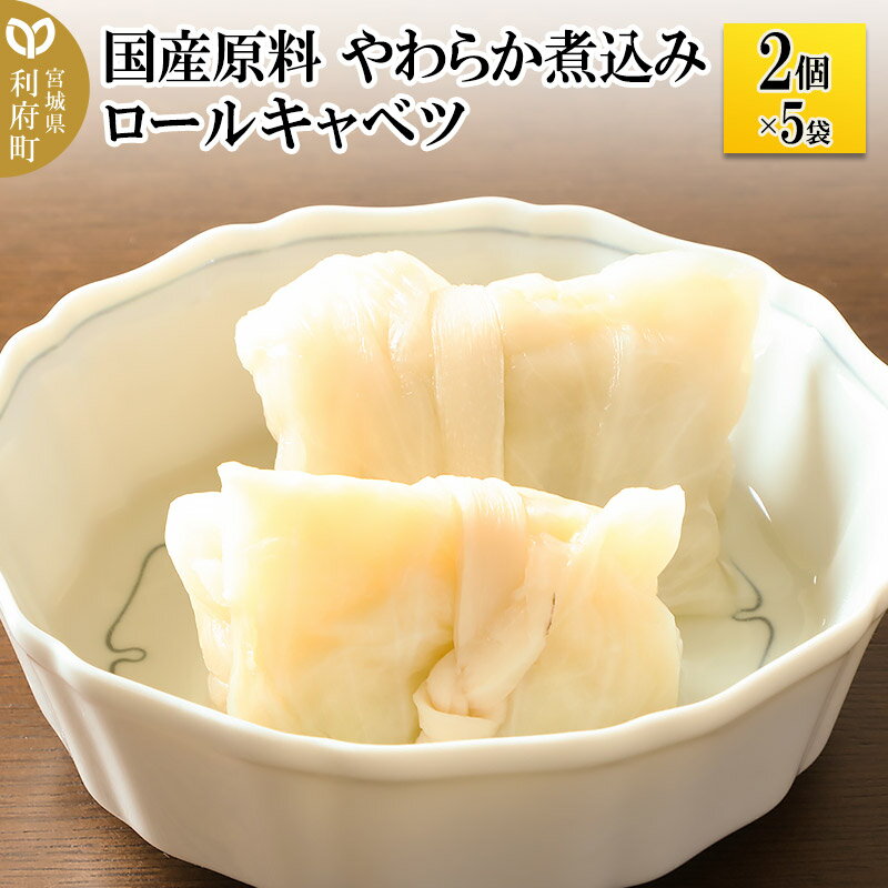 【ふるさと納税】国産原料 やわらか煮込みロールキャベツ 2個×5パック