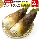 【ふるさと納税】宮城県利府町産 採れたて たけのこ 皮付き2kg以上（2～6本）筍 タケノコ 野菜  ...