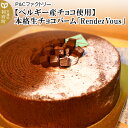 11位! 口コミ数「0件」評価「0」＜母の日＞【ベルギー産チョコ使用】本格生チョコバーム「Rendez Vous」