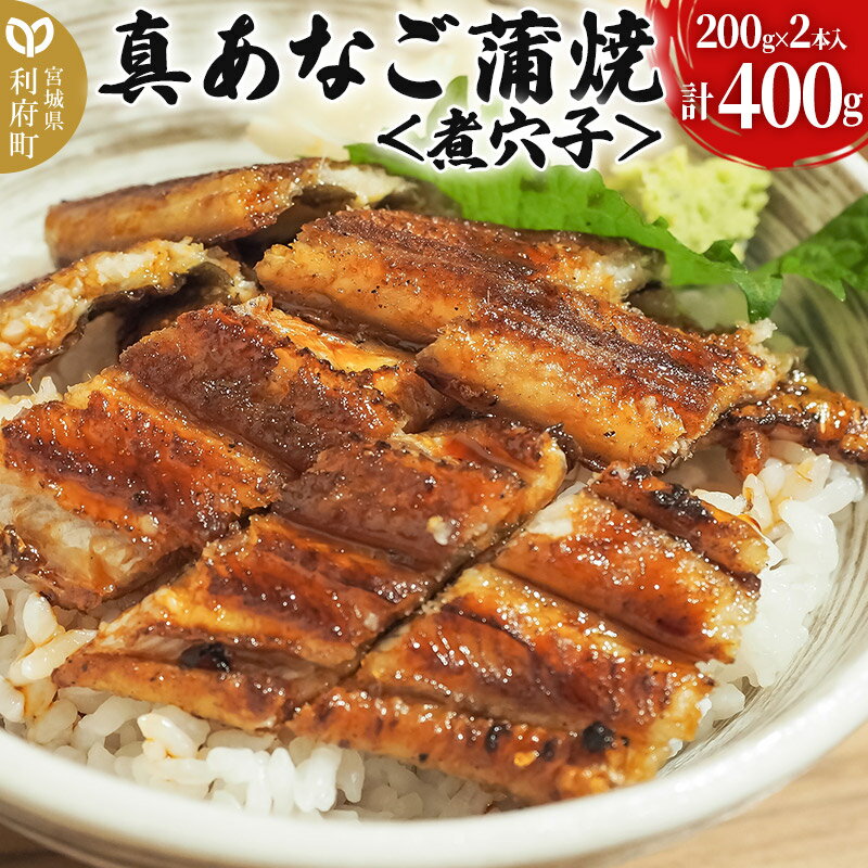 真あなご蒲焼[煮穴子] 400g 韓国産 宮城県 利府町