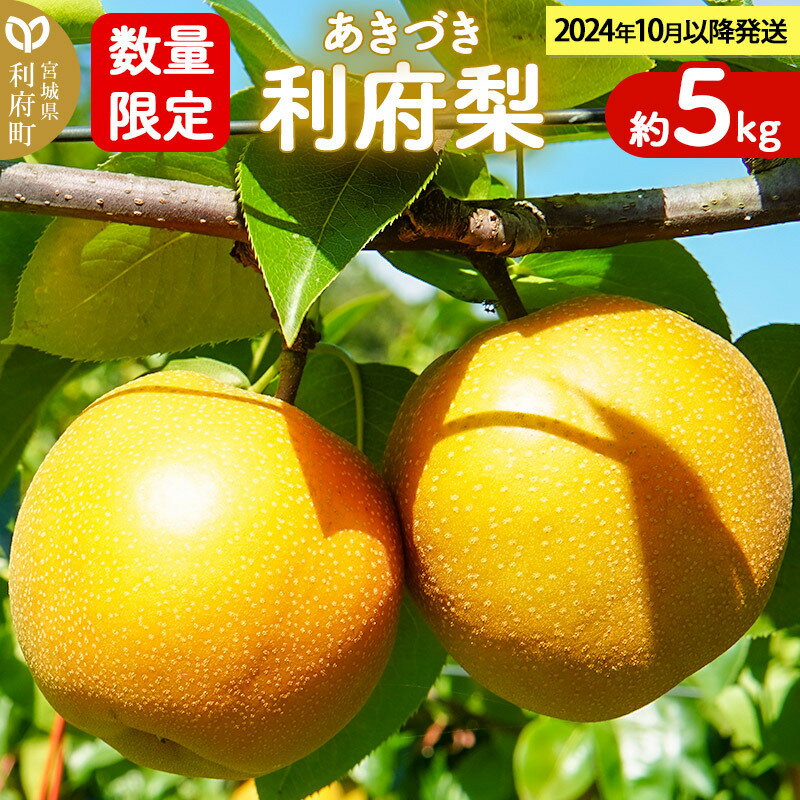 【ふるさと納税】数量限定 利府梨　あきづき 約5kg(10玉前後)のサムネイル