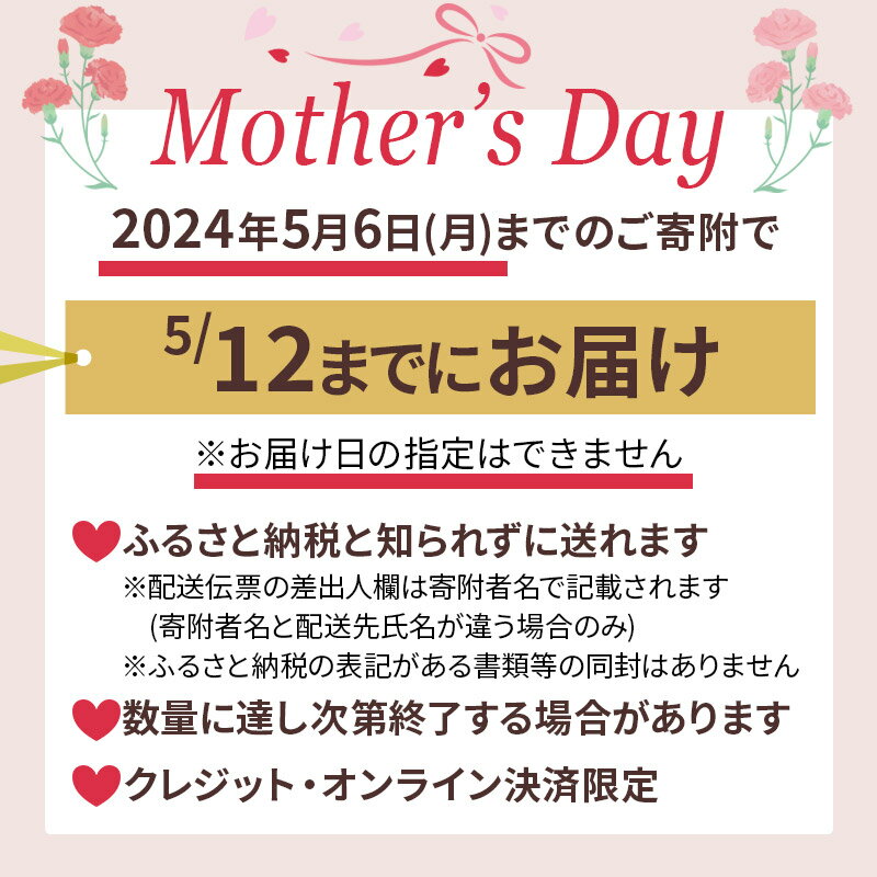 【ふるさと納税】＜母の日＞【みやぎ蔵王産クリームチーズ使用】濃厚窯出しチーズパイ