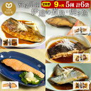 【ふるさと納税】《定期便9ヶ月》伊達の煮魚・焼き魚5種6袋セット 冷凍 惣菜 おかず つまみ レンチン 湯煎 簡単 煮物 煮付