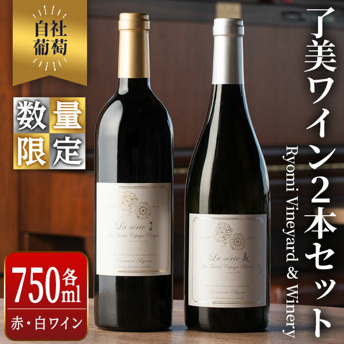 【ふるさと納税】自社葡萄を使用したワイン2本 赤ワイン 白ワイン 飲み比べ アルコール 数量限定 ギフト ワインセット 宮城県産 みらいファームやまと【了美ワイナリー】ta202