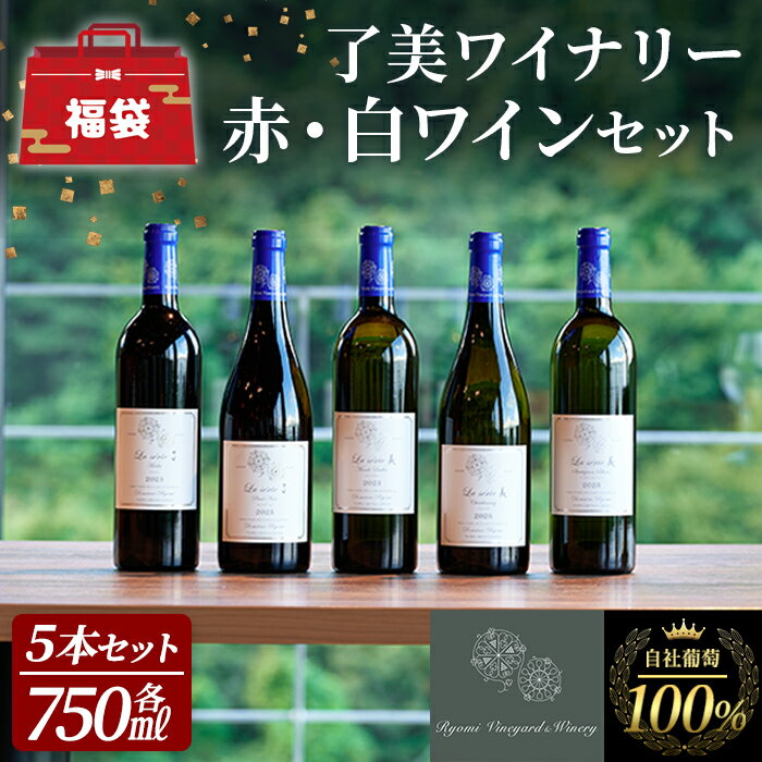 ≪ワイン福袋≫自社葡萄を使用したワインセット 750ml×5本 赤ワイン 白ワイン メルロー ピノノワール シャルドネ ソーヴィニヨンブラン モンドブリエ ミディアムボディ 辛口 ぶどう ブドウ アルコール みらいファームやまと[了美ワイナリー]ta594
