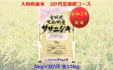 【ふるさと納税】【定期便・令和2年新米】ササニシキ 5kg×...
