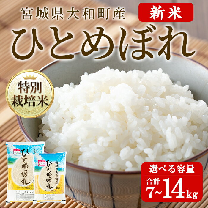 【ふるさと納税】【令和6年産新米】特別栽培米 ひとめぼれ 7