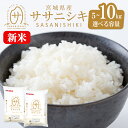【ふるさと納税】<先行予約! 容量と配送月が選べる!>【令和7年産 新米】宮城県産 ササニシキ 5kg~10kg お米 おこめ 米 コメ 白米 ご飯 ごはん おにぎり お弁当 ささにしき【株式会社パールライス宮城】ta204・ta573