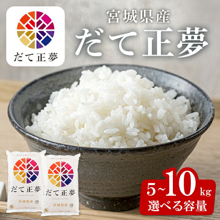 【ふるさと納税】【令和7年産】宮城県産 だて正夢 5kg〜10kg お米 おこめ 米 コメ 白米 ご飯 ごはん 伊達 だてまさゆめ おにぎり お弁当 ブランド米 5kg 10kg【株式会社パールライス宮城】ta355・ta206・ta320