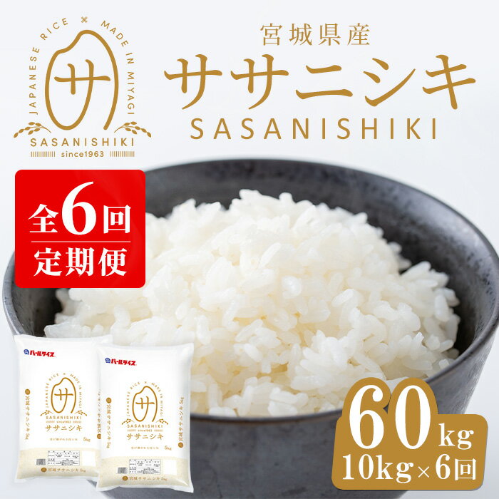 [6ヶ月定期便]宮城県産 ササニシキ 合計60kg (10kg×6回) お米 おこめ 米 コメ 白米 ご飯 ごはん おにぎり お弁当 ブランド米 ささにしき 宮城米 頒布会[パールライス宮城]ta395