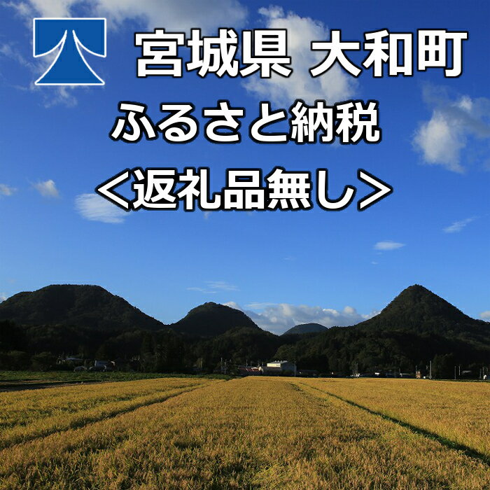 54位! 口コミ数「0件」評価「0」＜返礼品なし＞大和町ふるさと納税へのご寄附 ta000-2000