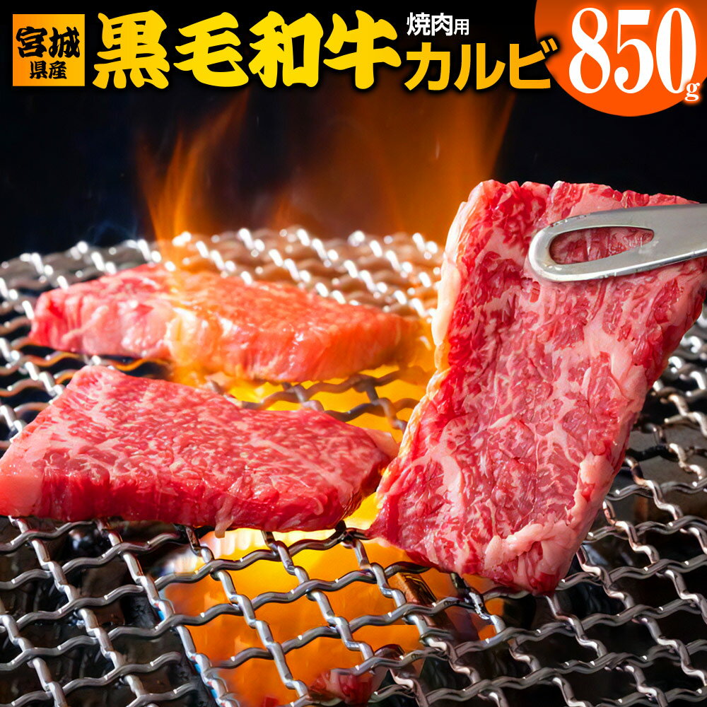 8位! 口コミ数「0件」評価「0」宮城県産 黒毛和牛カルビ焼肉用 850g｜国産 牛肉 バーベキュー [0050]