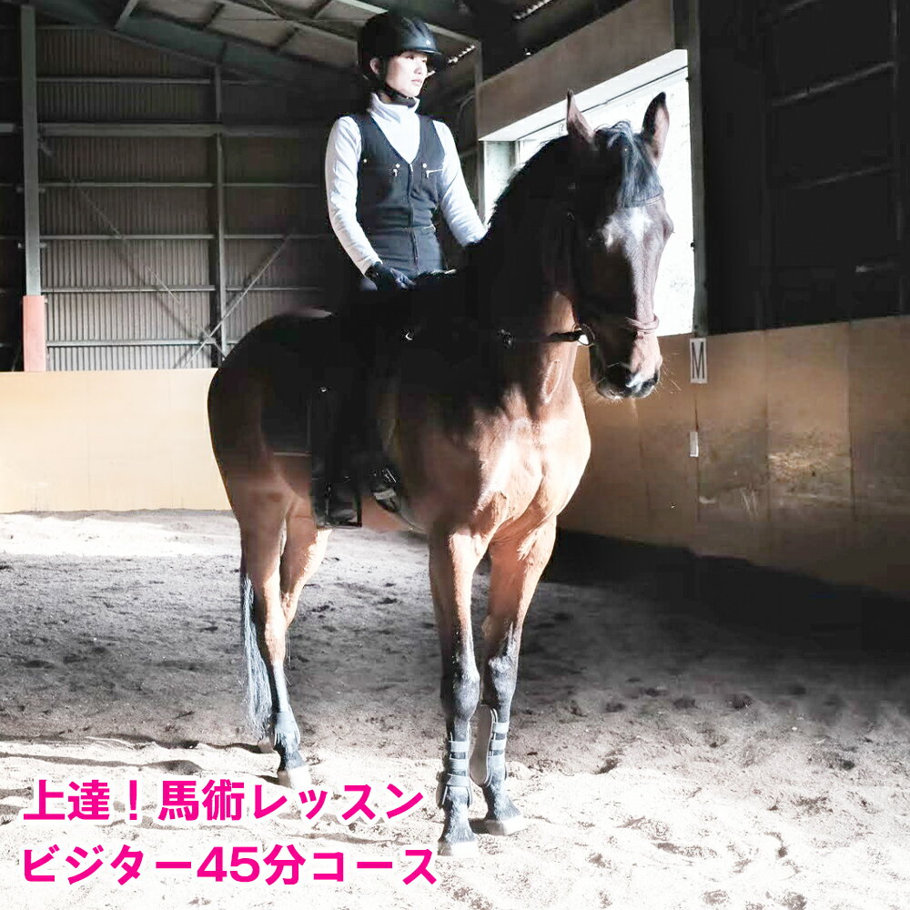 上達!馬術レッスン・ビジター45分コース|東北 宮城 仙台 乗馬 チケット クーポン 入場券 体験 レジャー [0088]