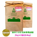 令和5年産 特別栽培米 金のいぶき(玄米専用品種) 2kg×2袋 (計4kg)｜宮城県 大郷町産 ごはん 玄米食 お米 米 