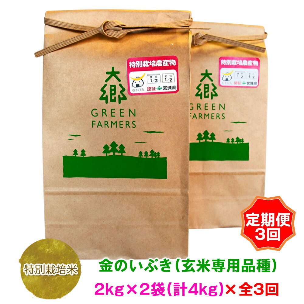 【ふるさと納税】[定期便 3ヵ月連続お届け] 令和5年産 特別栽培米 金のいぶき(玄米専用品種) 2kg×2袋 ...