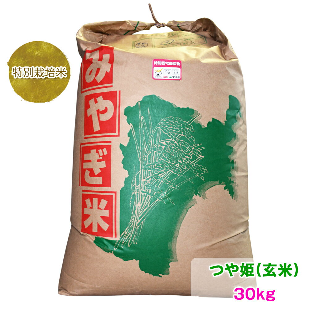 令和5年産 特別栽培米玄米 つや姫30kg|宮城県 大郷町産 ごはん お米 米 [0164]