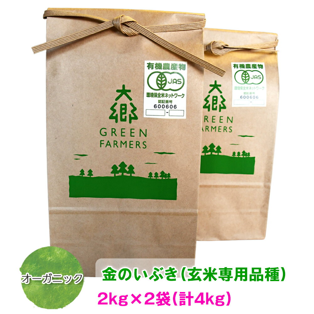 令和5年産 オーガニック 金のいぶき (玄米専用品種) 2kg×2袋 (計4kg)｜宮城県 大郷町産 ごはん 玄米食 お米 米 [0170]