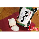 【ふるさと納税】令和2年産 ササニシキ 10kg 【米・お米...