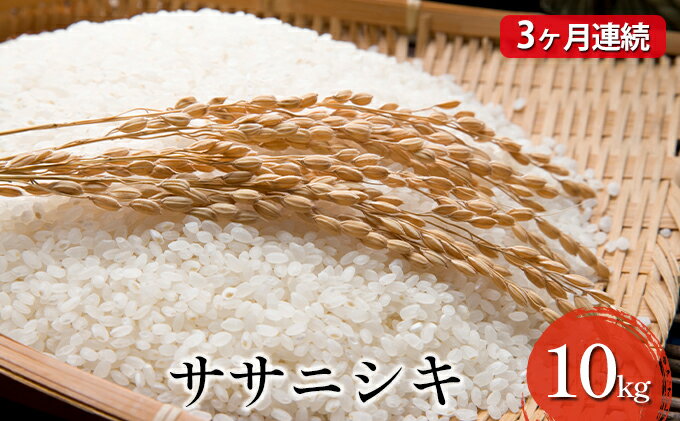 【ふるさと納税】【先行予約・3ヶ月連続お届け】令和4年産 ササニシキ 10kg　【定期便・ お米 ライス ご飯 主食 宮城県産 定期便 】　お届け：2022年10月中旬頃より順次発送