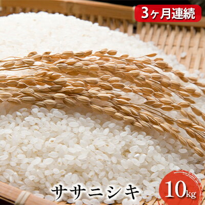 【ふるさと納税】【先行予約・3ヶ月連続お届け】令和4年産 ササニシキ 10kg　【定期便・ お米 ライス ご飯 主食 宮城県産 定期便 】　お届け：2022年10月中旬頃より順次発送