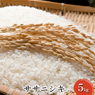 【ふるさと納税】【先行予約】令和4年産 ササニシキ 5kg　【 お米 ライス ご飯 ...