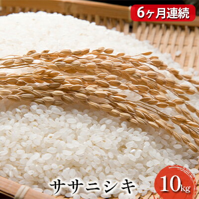 【ふるさと納税】【6ヶ月連続お届け】令和4年産 ササニシキ 10kg　【定期便・ お米 ライス ご飯 主食 宮城県産 半年 定期便 】　お届け：2022年10月中旬頃より順次発送