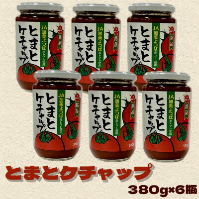 【ふるさと納税】とまとケチャップ 380g×6個【配送不可地域：離島・沖縄県】【1307530】