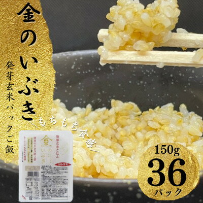 【宮城県産玄米】金のいぶき　発芽玄米パックごはん(150g×36個)【配送不可地域：離島・沖縄県】【1355777】