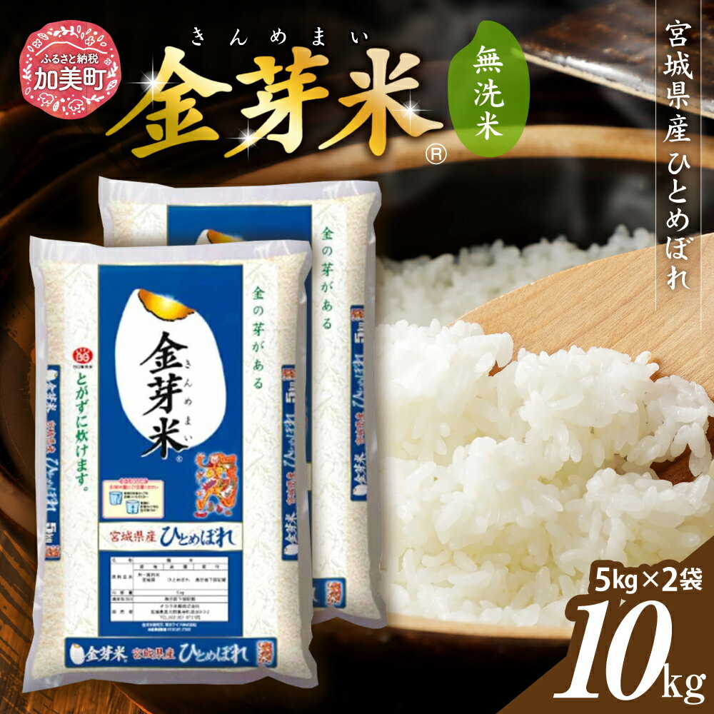 【ふるさと納税】 無洗米 金芽米 ひとめぼれ 10kg （ 