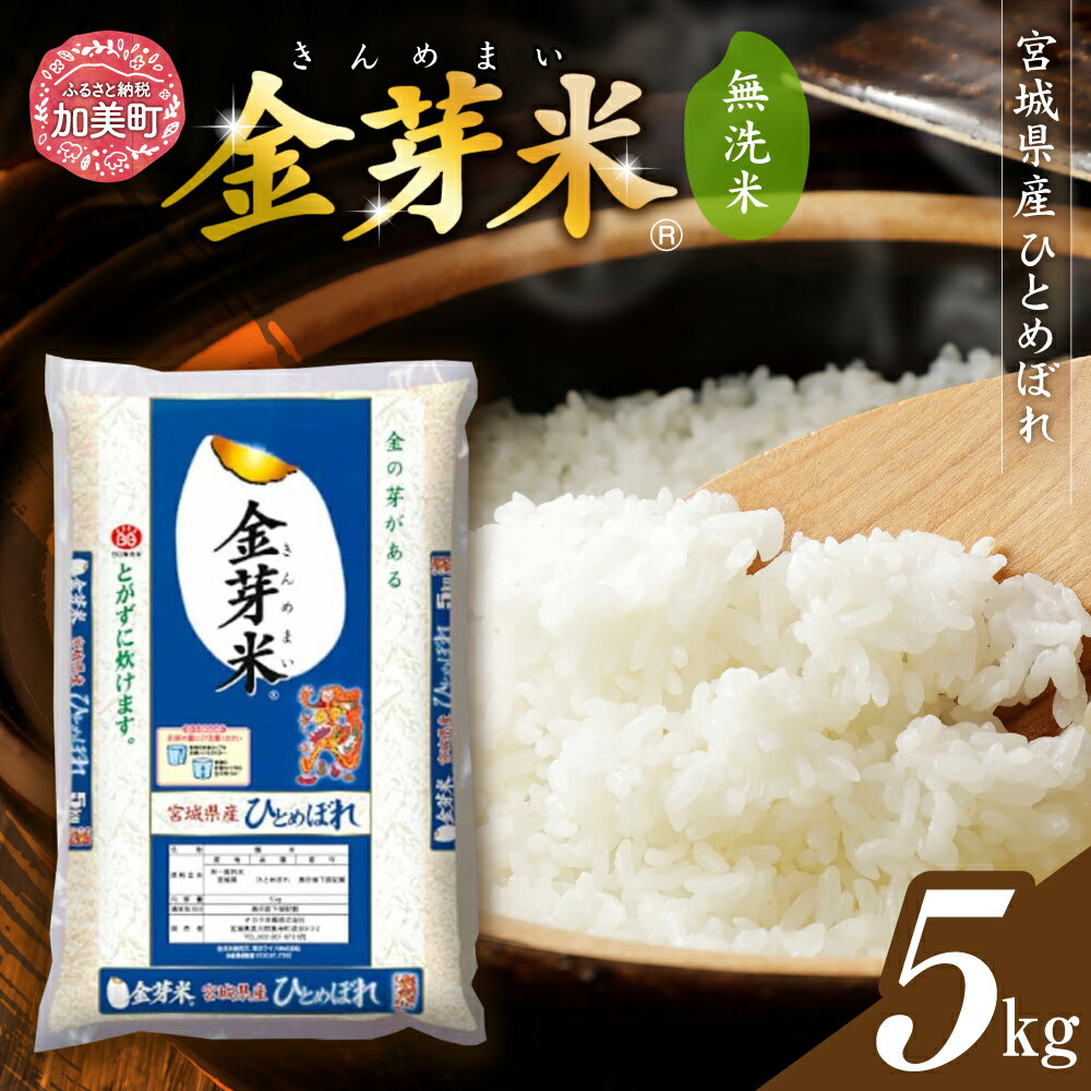 宮城産 ひとめぼれ 【ふるさと納税】 無洗米 金芽米 ひとめぼれ 5kg 令和5年度産 宮城県産 [ 宮城県 加美町 ] 米 お米 こめ コメ 精米 白米 玄米 きんめまい