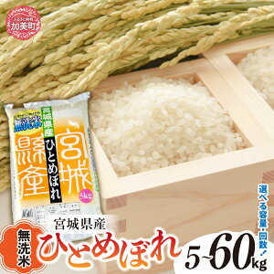 【ふるさと納税】ひとめぼれ 無洗米 定期便 宮城 定期便 米 白米 令和6年 宮城 ひとめぼれ 選べる 5kg 10kg 2ヶ月 3ヶ月 4ヶ月 5ヶ月 6ヶ月 | 宮城県産 ヒトメボレ コメ 精米 米 コメ おすすめ 加美町 かみまち 菅原精米工業