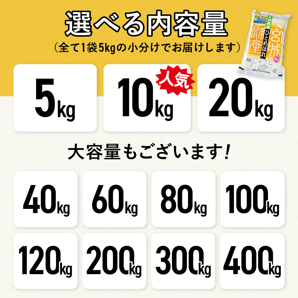【ふるさと納税】 無洗米 定期便 令和7年産 お米 米 5kg 10kg 20kg ひとめぼれ 選...