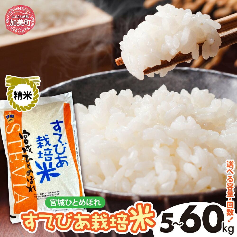楽天市場】宮城県産 だて正夢 30kgの通販 楽天市場】宮城県産 だて正夢 30kgの通販