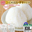【ふるさと納税】米 6回 隔月 定期便 宮城県産 ひとめぼれ & ササニシキ パックごはん 計18個×6回 総計108個 [JA加美よつば(生活課) 宮城県 加...