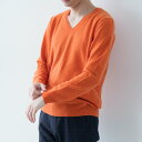 【ふるさと納税】服 Vネック プルオーバー 度詰 男性用 S M L LL カシミヤ100% メンズ ニット セーター ギフト プレゼント 秋 冬 長袖 最高級...