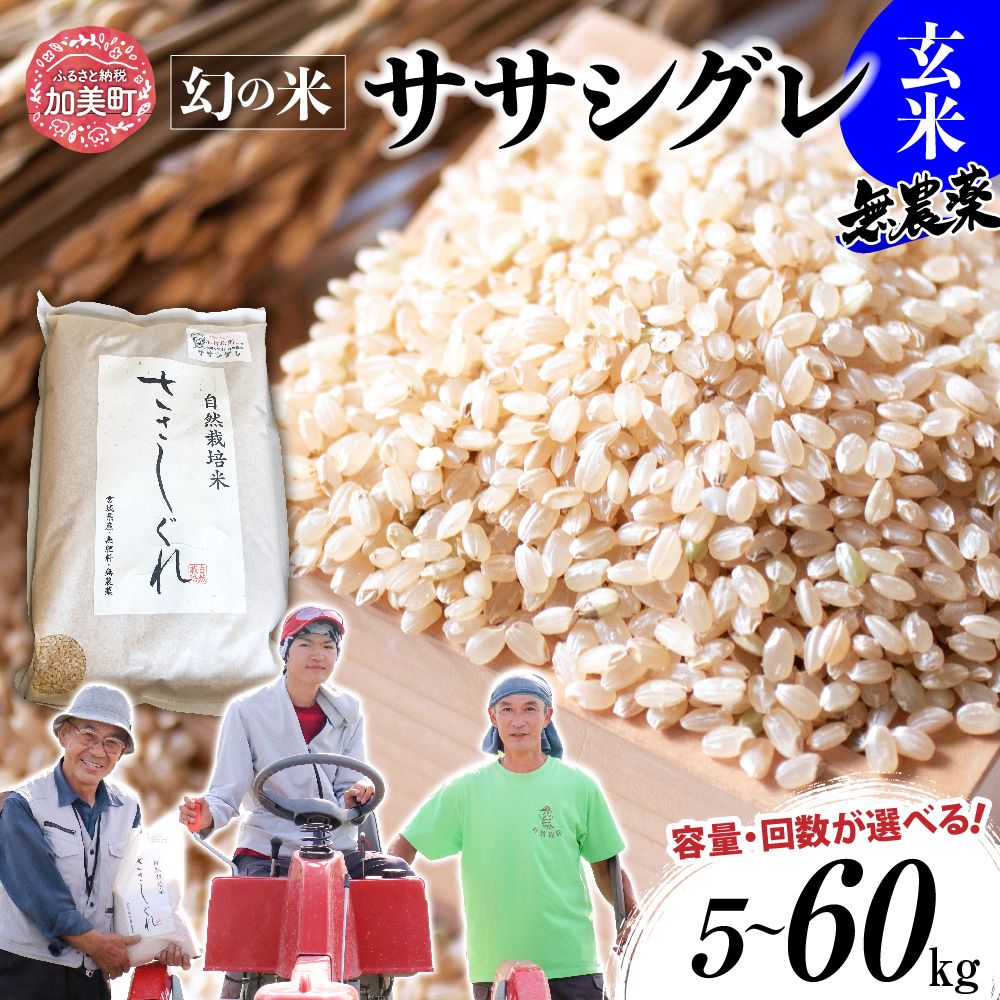 加美町の長沼太一が丹精込めて作った”幻の米”ササシグレ。自然の力が育むおいしさをお届けします。　【ふるさと納税】新米 米 定期便 玄米 希少 品種 令和7年 宮城県産 ササシグレ 栽培期間中農薬 肥料 不使用 無農薬 玄米 5kg 10kg 単品 3ヶ月 6ヶ月 定期便 も 選べる [ 宮城県 加美町 ] お米 こめ コメ 精米 白米 玄米 ササシグレ