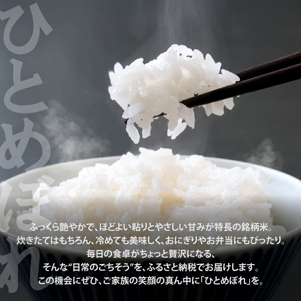 【ふるさと納税】 米 無洗米 定期便 5kg 10kg ひとめぼれ【選べる内容量/配送回数】1〜6回 総量 20kg 30kg 40kg 50kg 60kg 農家直送 6ヶ月 令和7年 新米 ブランド米 白米 精米 ご飯 家庭用 ［ 宮城県 加美町 結心ファーム yu00001-r6-5kg］