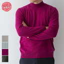 【ふるさと納税】服 カシミヤ ハイネックプルオーバー(度詰)男性用《白田のカシミヤ》【全4色 S~LL】|ニット 高級 希少 メンズ